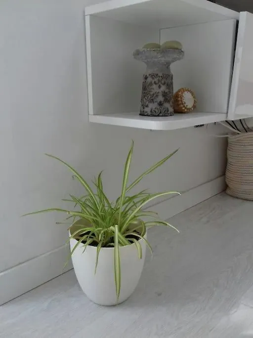 Home Sweet Home - By Az Rentals Puerto del Carmen  Appartement